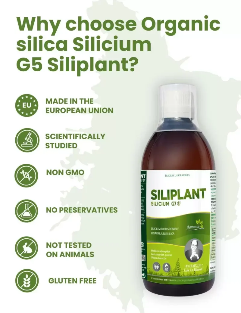 silicio organico